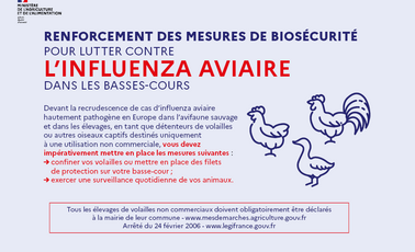 Prévention grippe aviaire