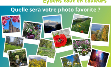 Concours photo : et votre cliché favoris est...
