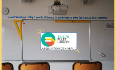 Le collège Les Saules labellisé pour l'égalité filles/garçons