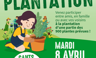 Grande plantaiton aux Coulmes
