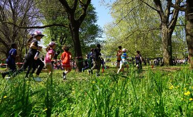 Coursetons des écoles : bravo aux jeunes coureurs !