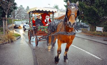 Balade en calèche de la Mère et du Père Noël