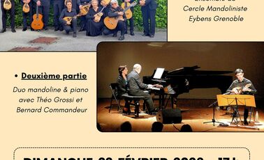 Concert Mandoline(s)