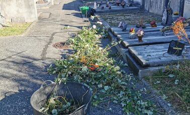 Des chantiers d'été avec le Codase
